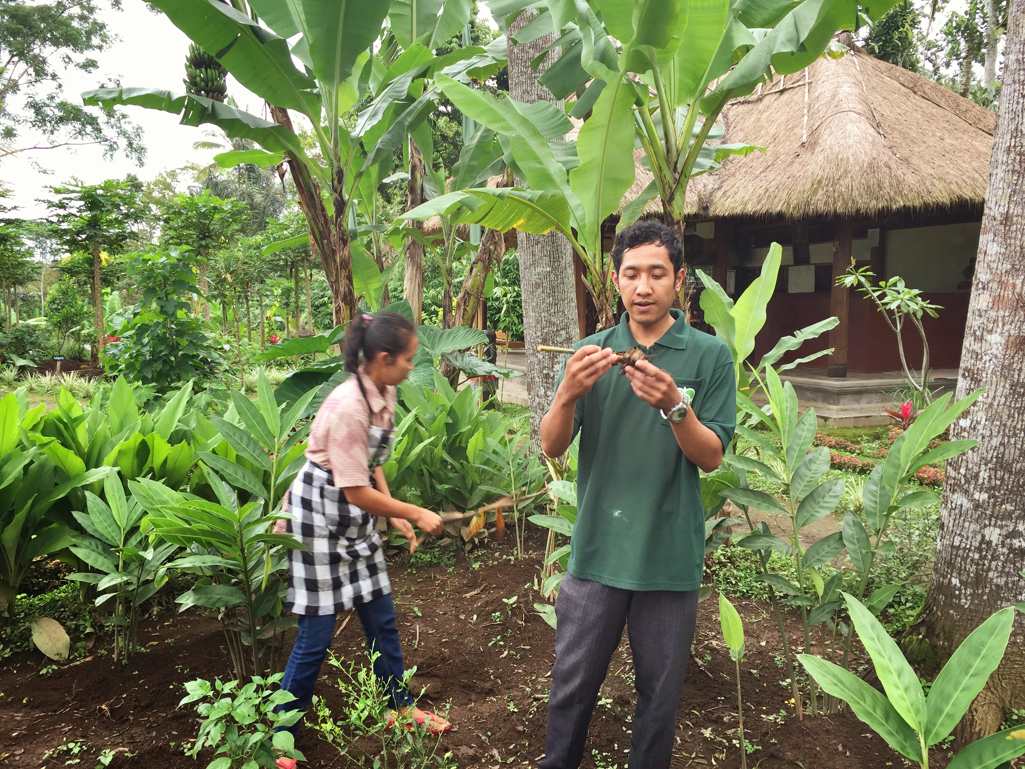 Rundvisning på gården. Ubud, Bali. Kokkeskole. (c) Per Sommer