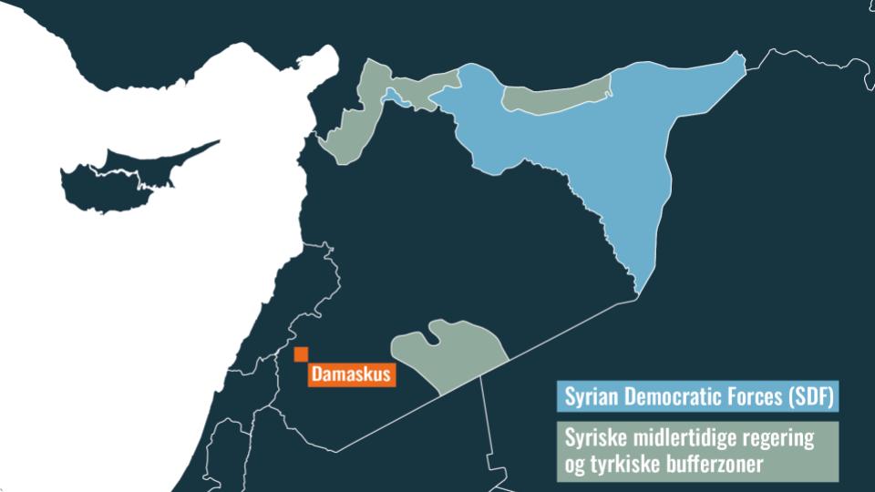 Kort der viser hvilket område den syriske regering kontrollerer. Borgerkrigen i Syrien.